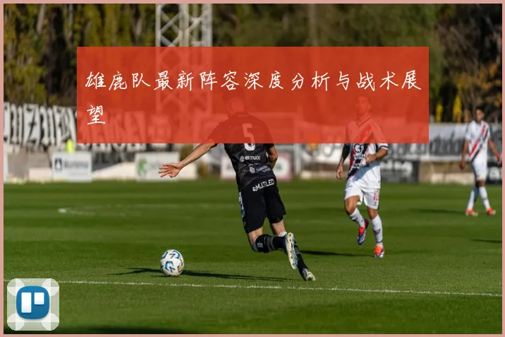 雄鹿队最新阵容深度分析与战术展望